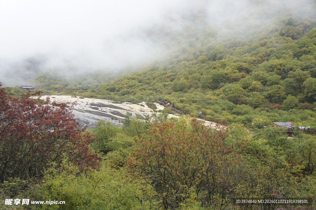 山间植被与云雾景观