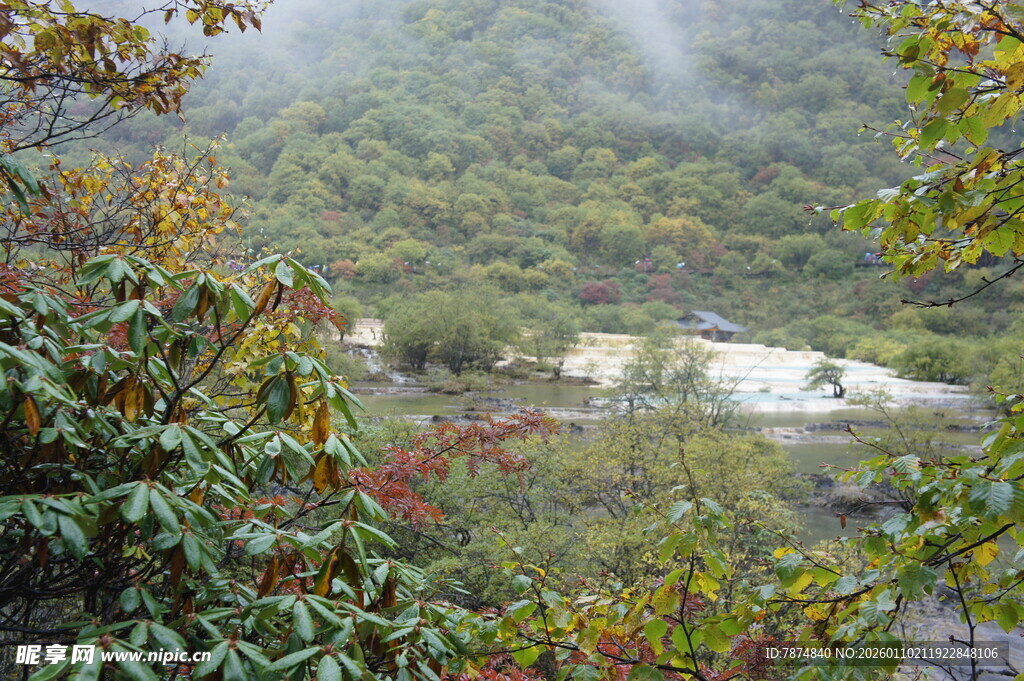 山间雾景中的多彩植被