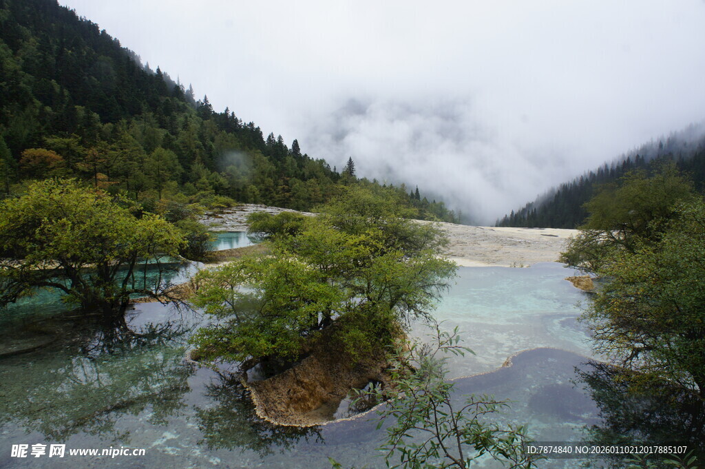 山间秀丽溪流景观