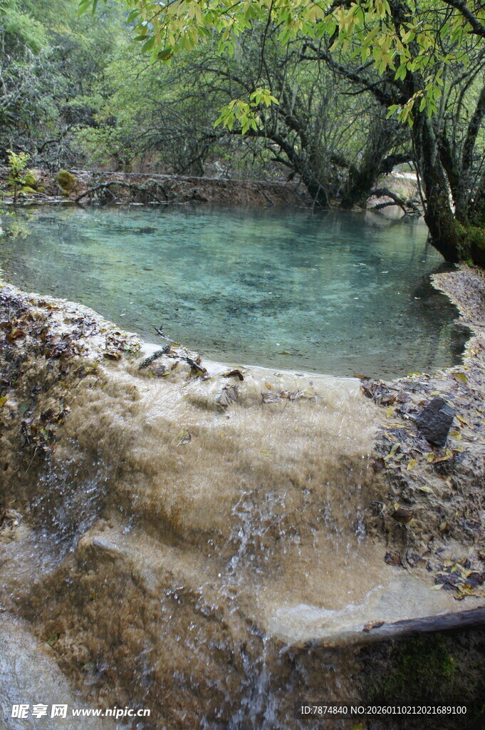 山间清澈溪流的自然美景
