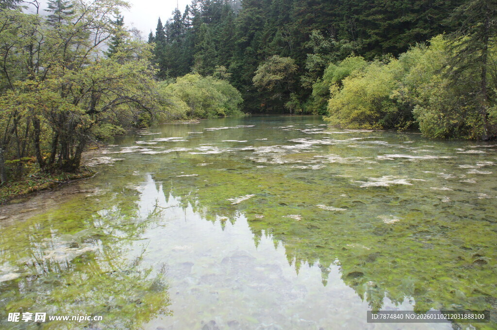 山间清澈溪流 绿意盎然