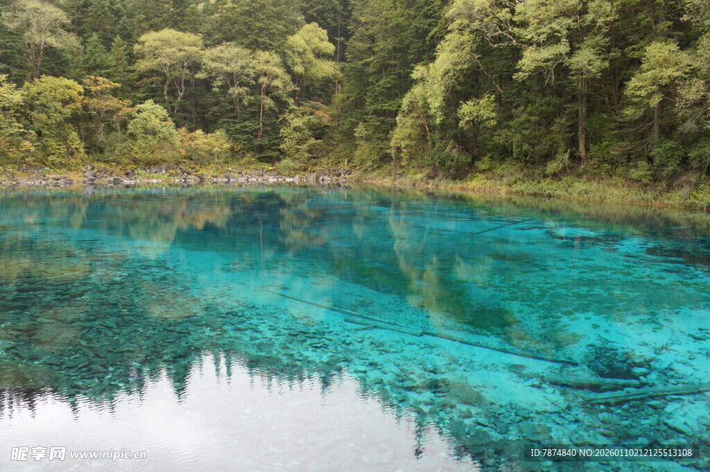 梦幻蓝湖 四周绿植环绕