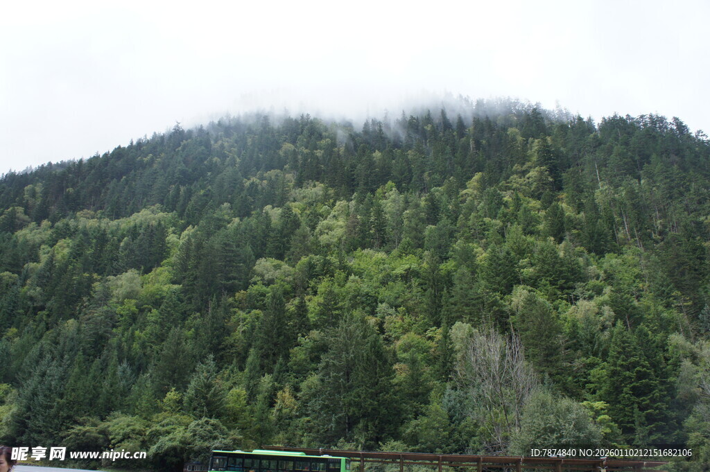 青山覆绿林 云雾绕山间