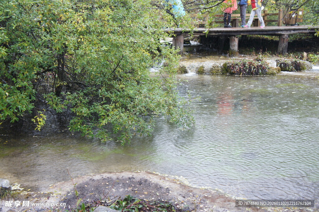 溪边绿植与桥上行人景象