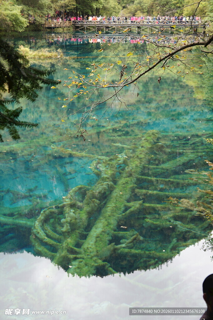 清澈湖底的神秘木质结构