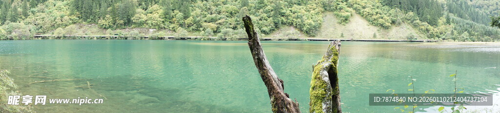 湖畔孤枝 静美湖景一隅