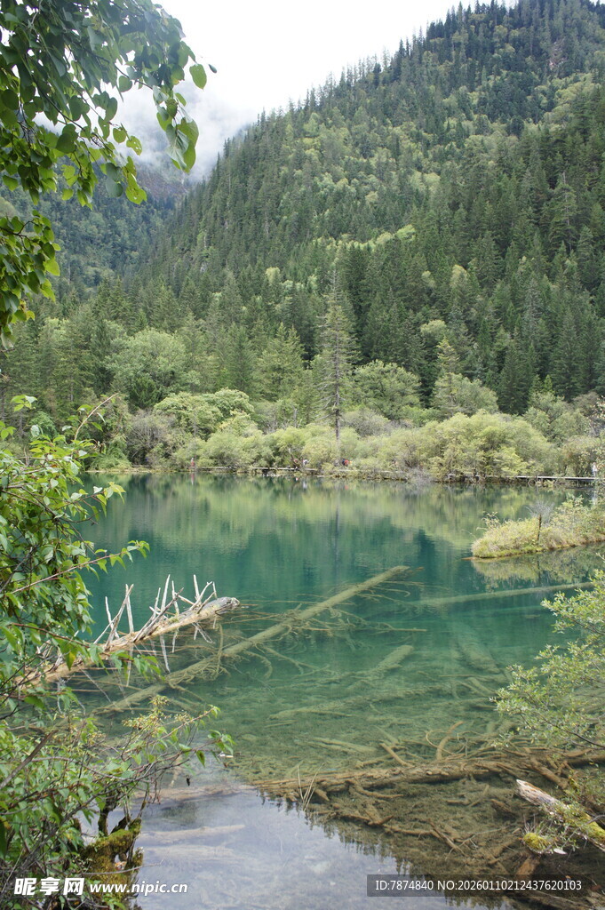 山间碧绿清澈的美丽湖泊