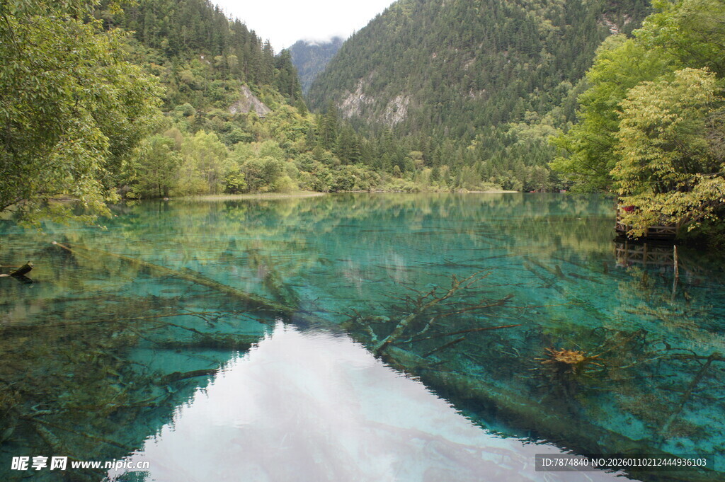 九寨沟绝美清澈湖水景观