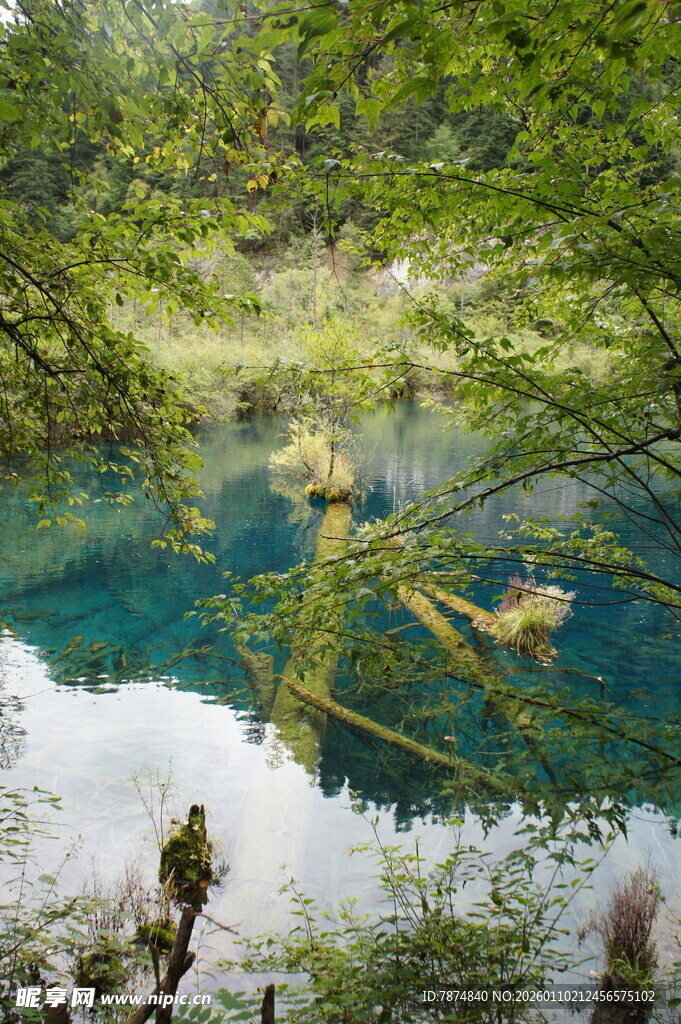 山间幽潭 绿意环绕的美景