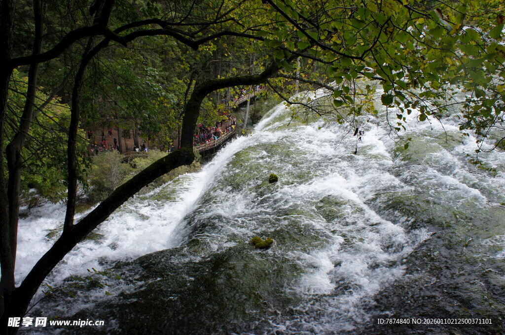山间湍急溪流穿林而过
