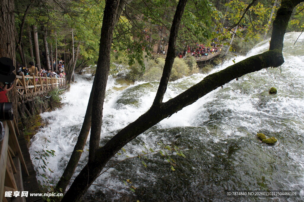山间溪流旁的木质观景栈道