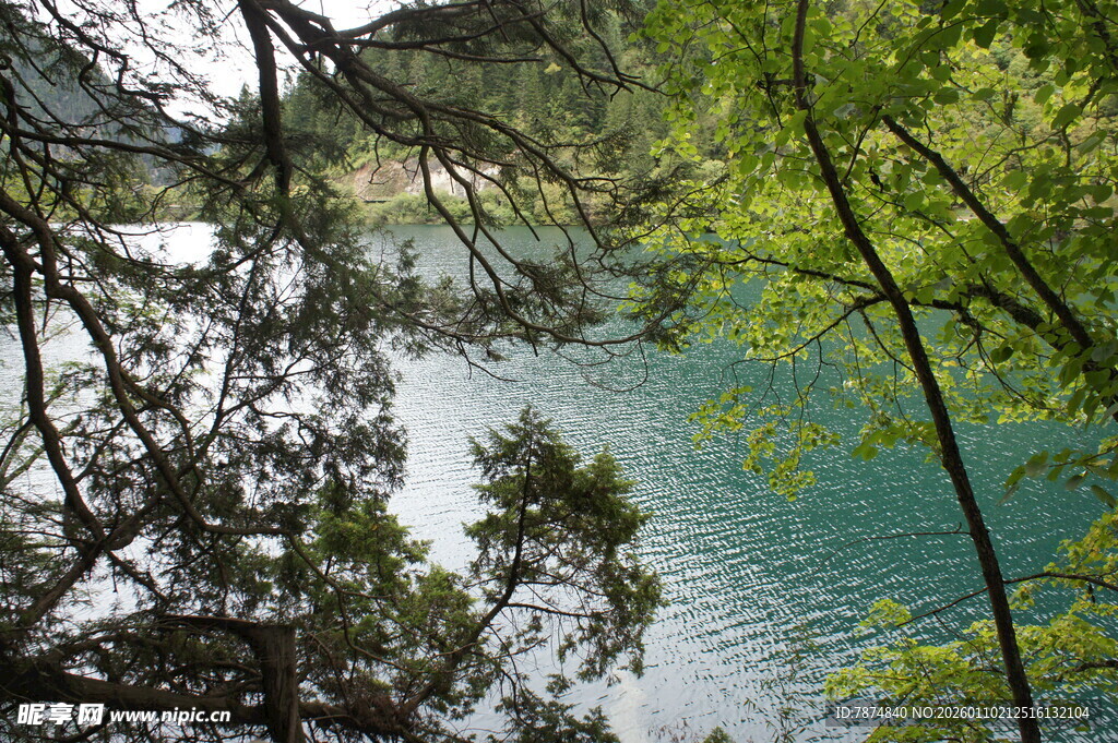 湖畔绿树环绕的清幽景致
