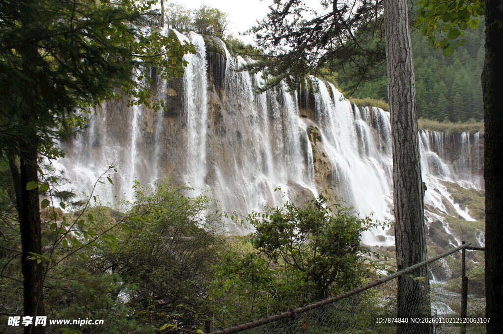 森林中的壮观瀑布景观