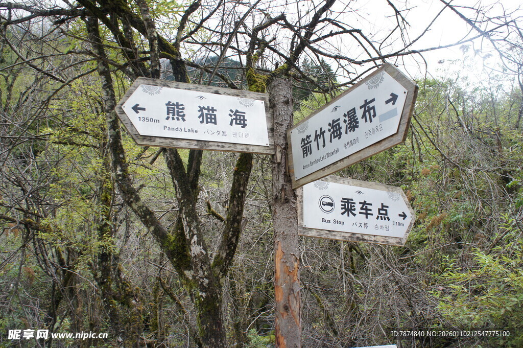 山林中的多方向指示路标