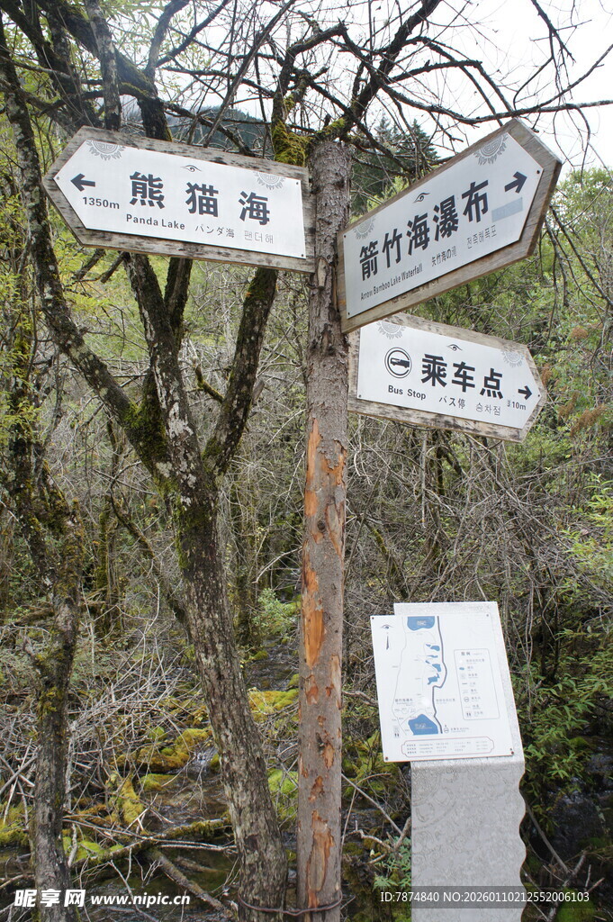 山林指路牌