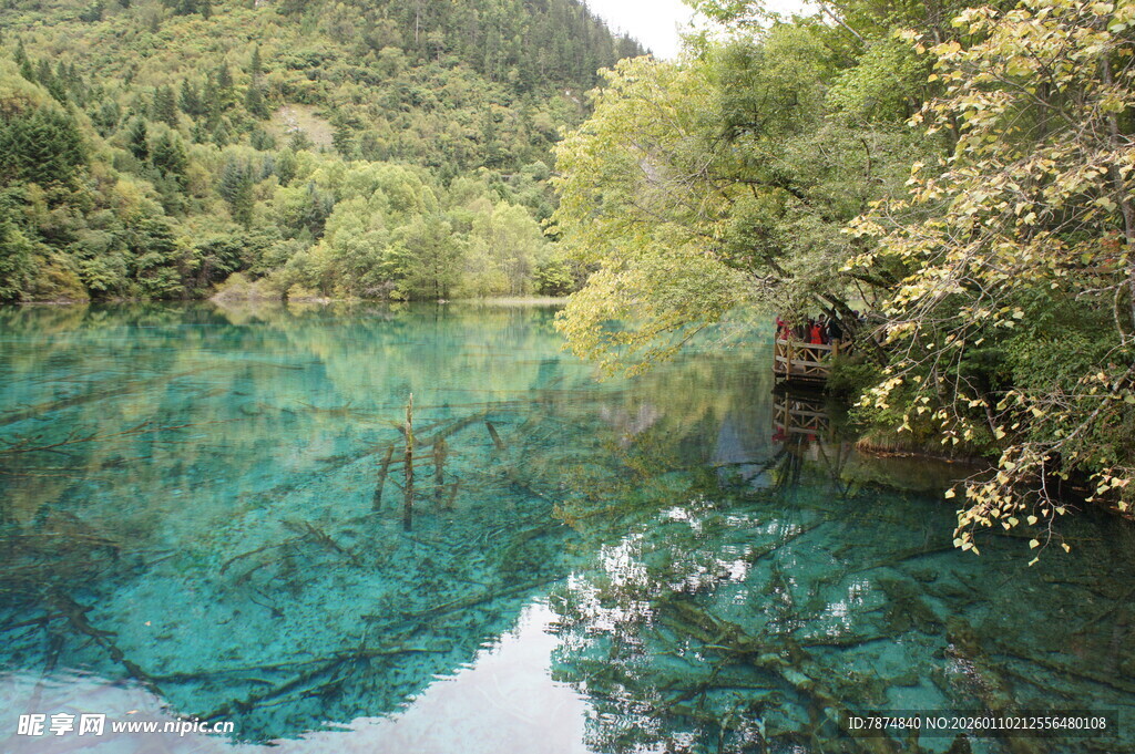 清澈碧绿的山林幽潭