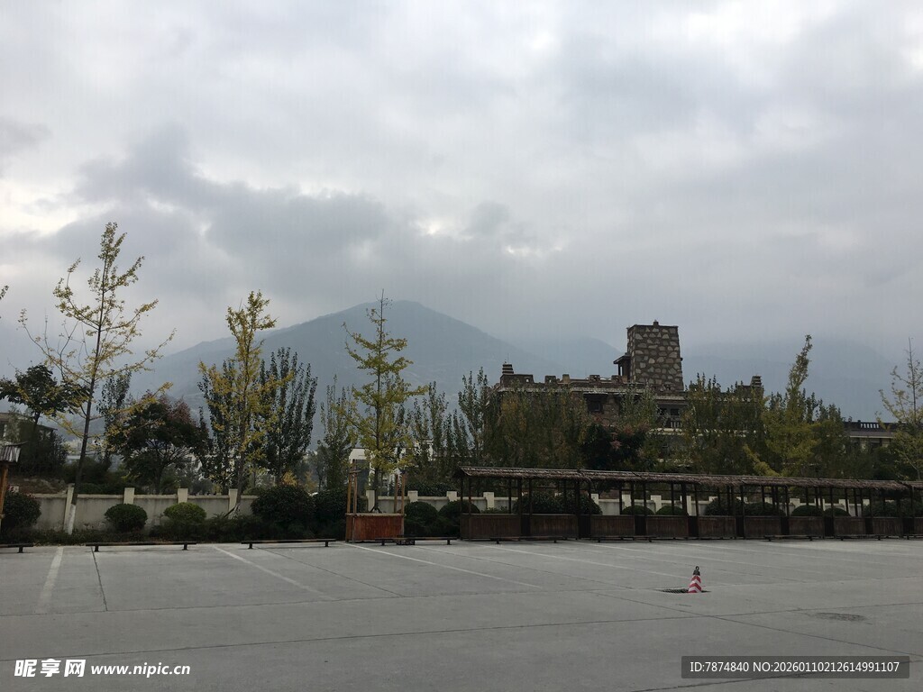 户外停车场旁的自然景致