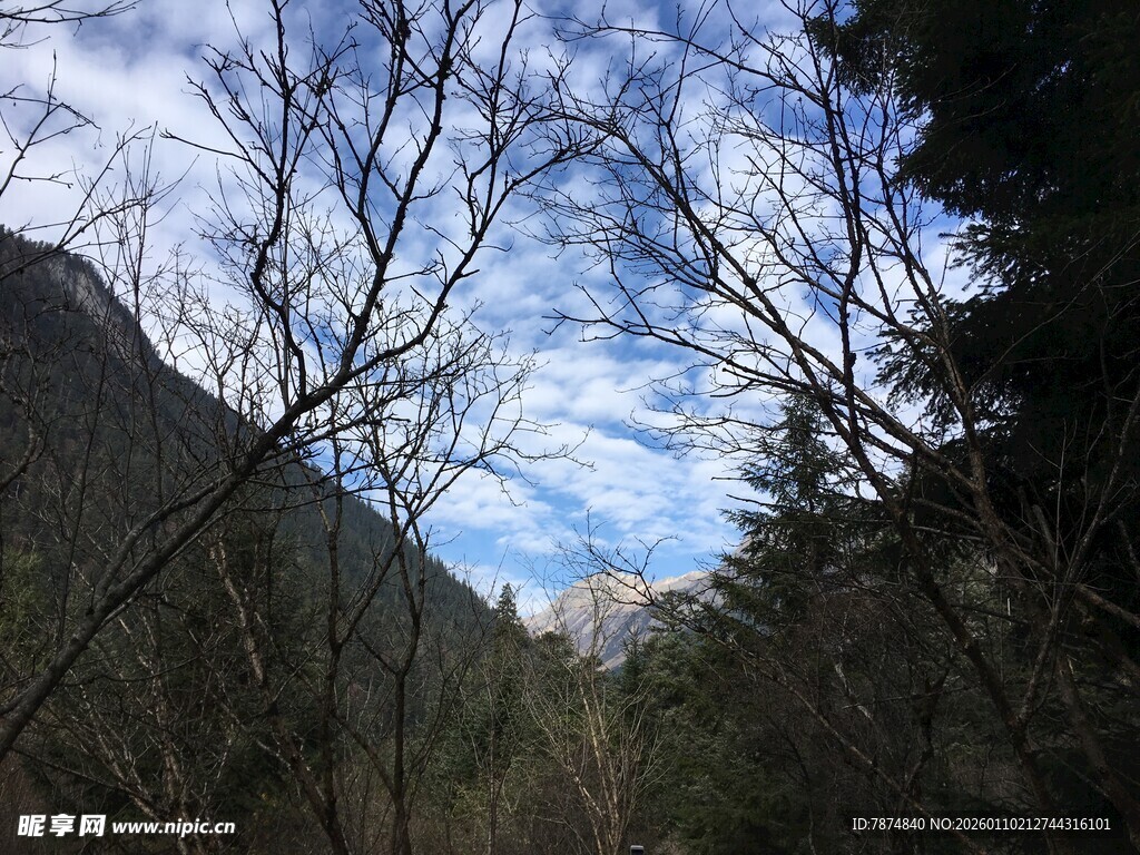 山间景致 蓝天映衬树林