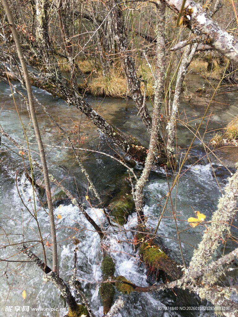 山间溪流冬日景象