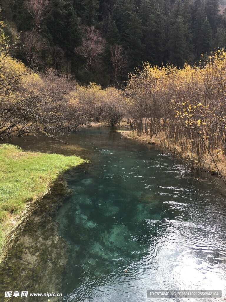 山间清澈溪流美景