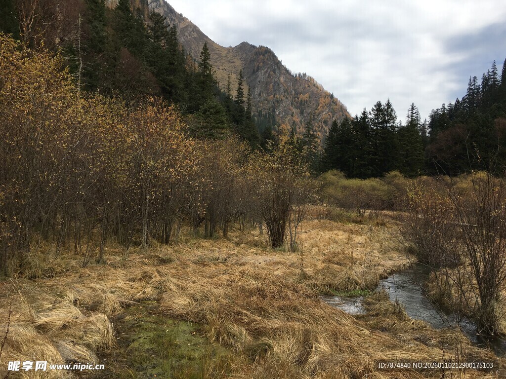 山间荒野小溪风景