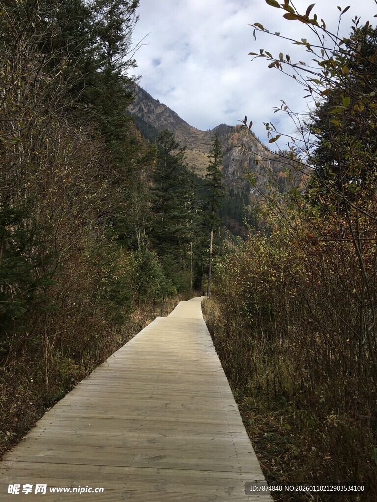 山间木质步道 自然景致