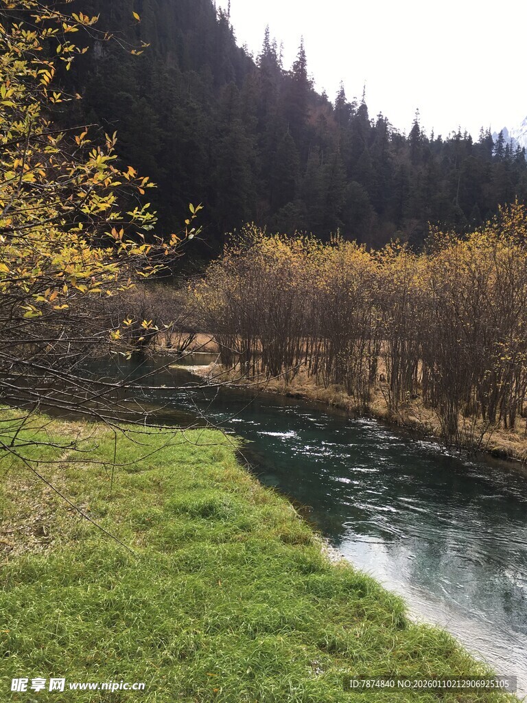 山间溪流旁的翠绿草地