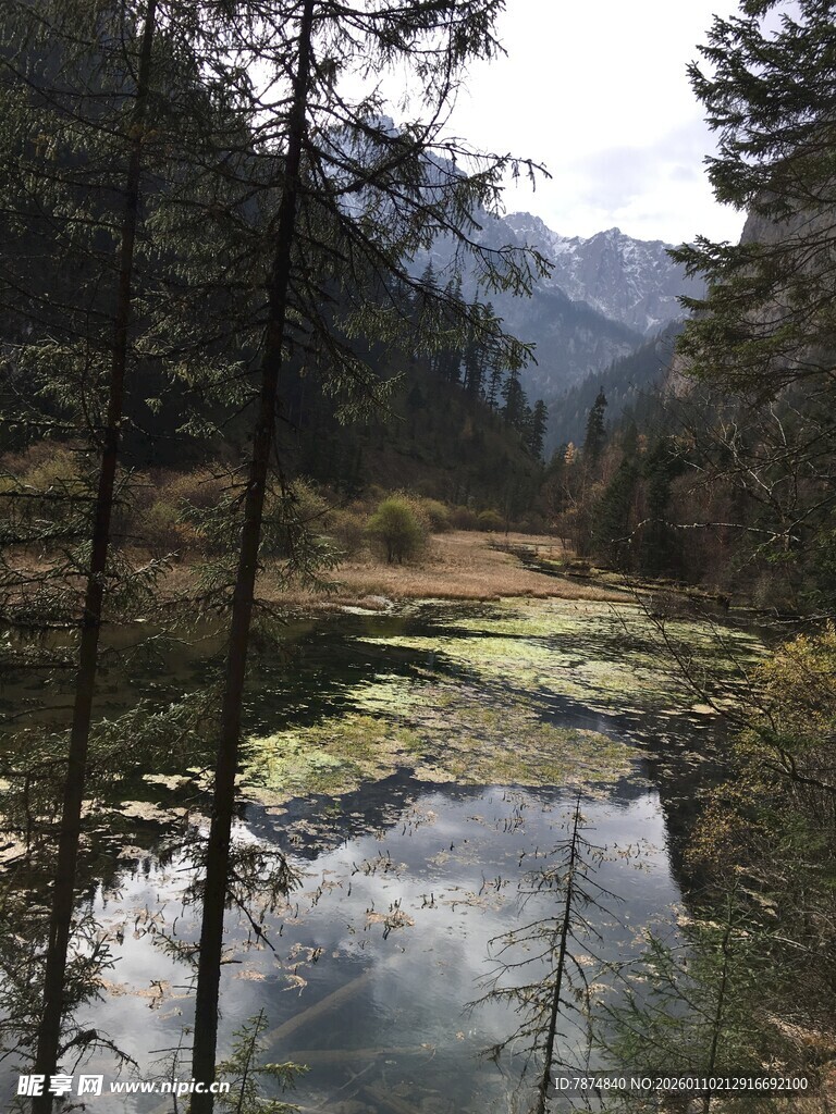 山林间静谧的清澈小水潭