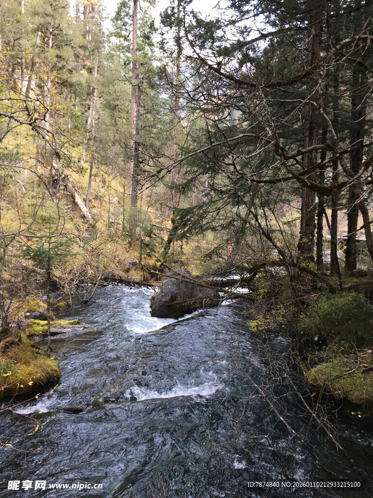 林间溪流潺潺的自然美景