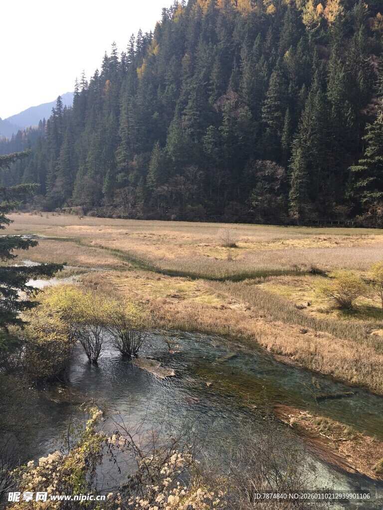 山间溪流旁的开阔原野
