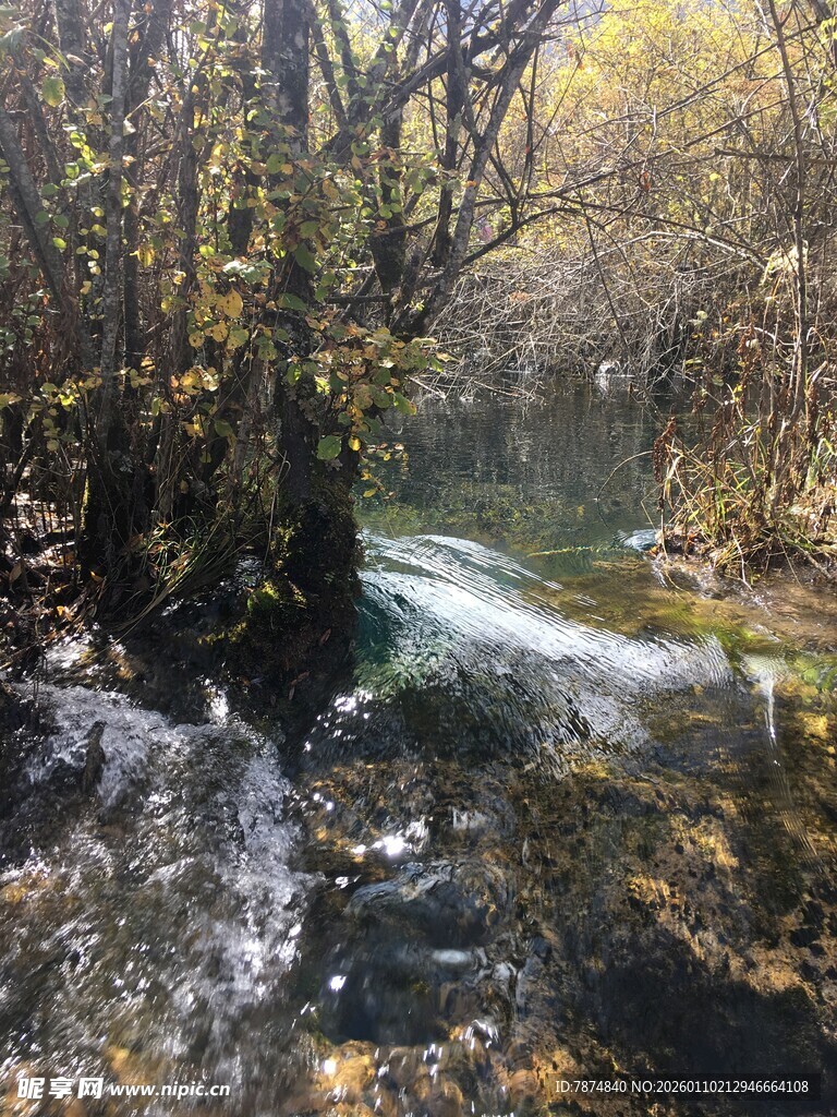 山间溪流 秋色中的灵动景致