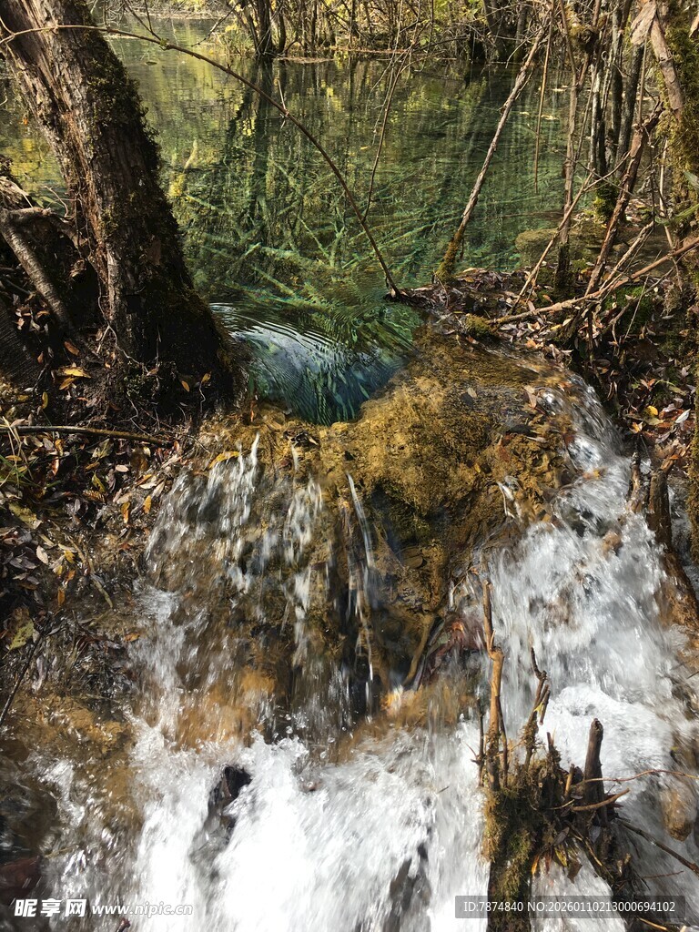 山间溪流潺潺 自然景致