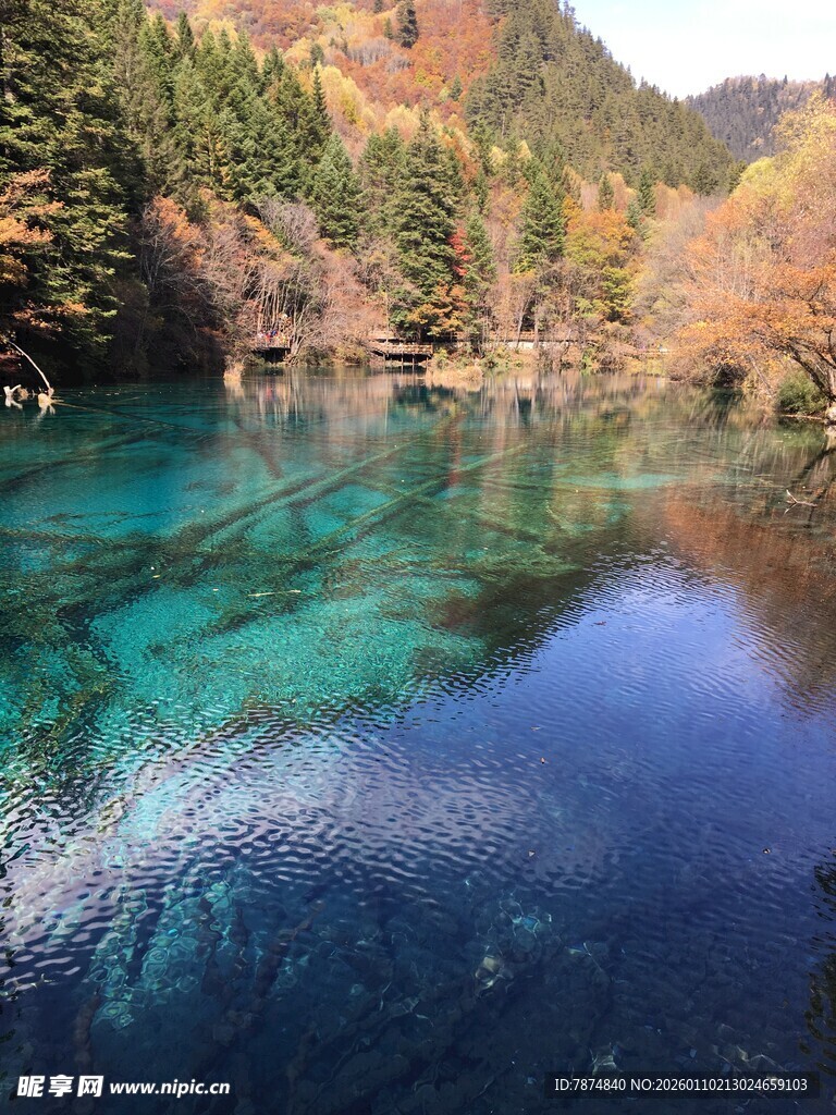 九寨沟绝美清澈湖水景观