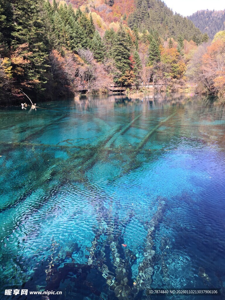 清澈蓝湖与多彩山林美景