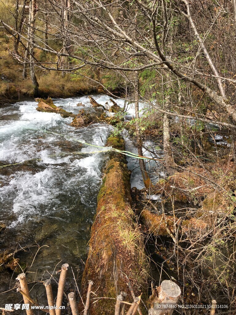 山间溪流 冬日自然景致