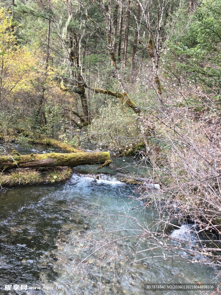 山林中的清澈溪流
