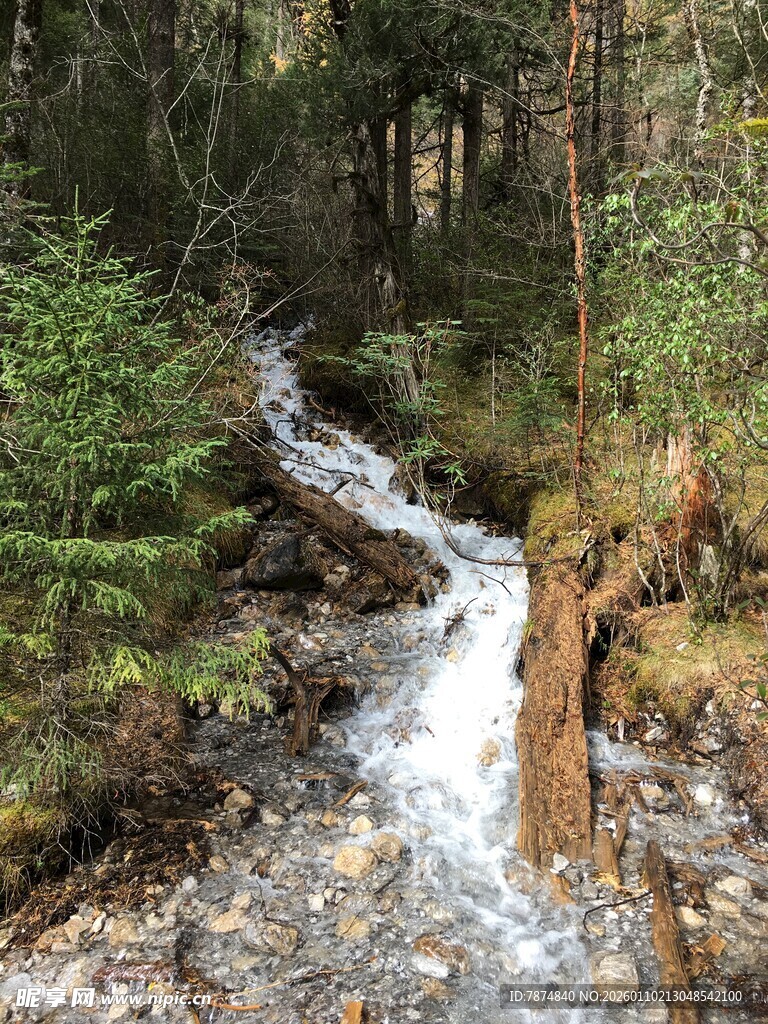 山间溪流潺潺 绿意环绕