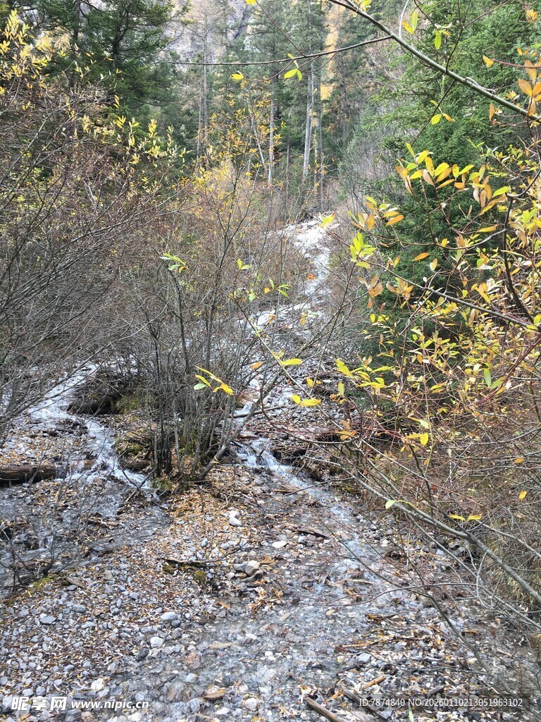 秋日林间泥泞小径