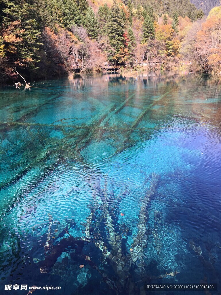 梦幻蓝湖 森林中的澄澈之景