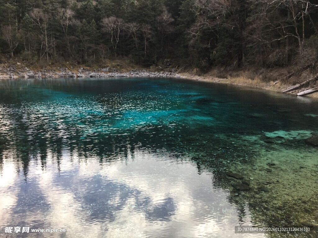 清澈蓝湖映山林美景