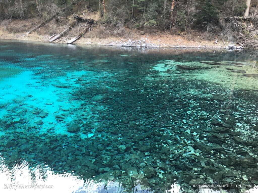 清澈见底的美丽海底世界