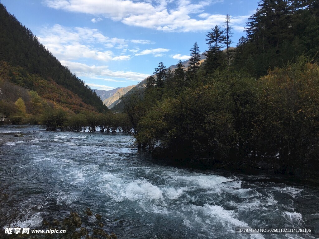 山间湍急河流与葱郁林木