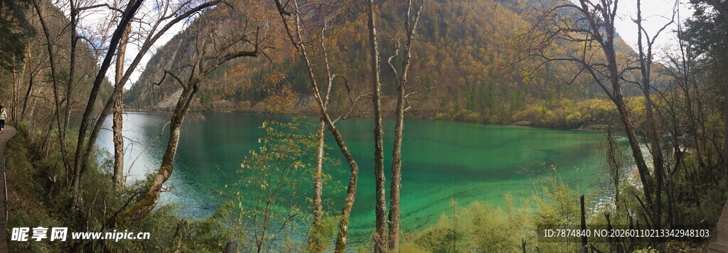 林间碧绿湖水自然美景