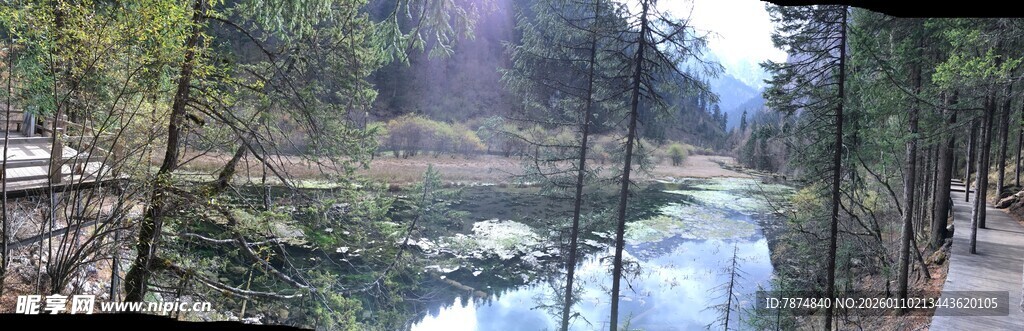 山林间静谧的清澈溪流