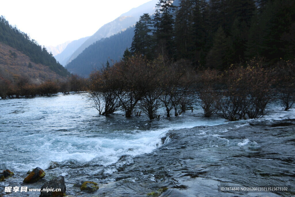 山间湍急溪流与岸边树木