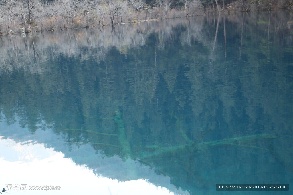 清澈湖水倒映岸边景致
