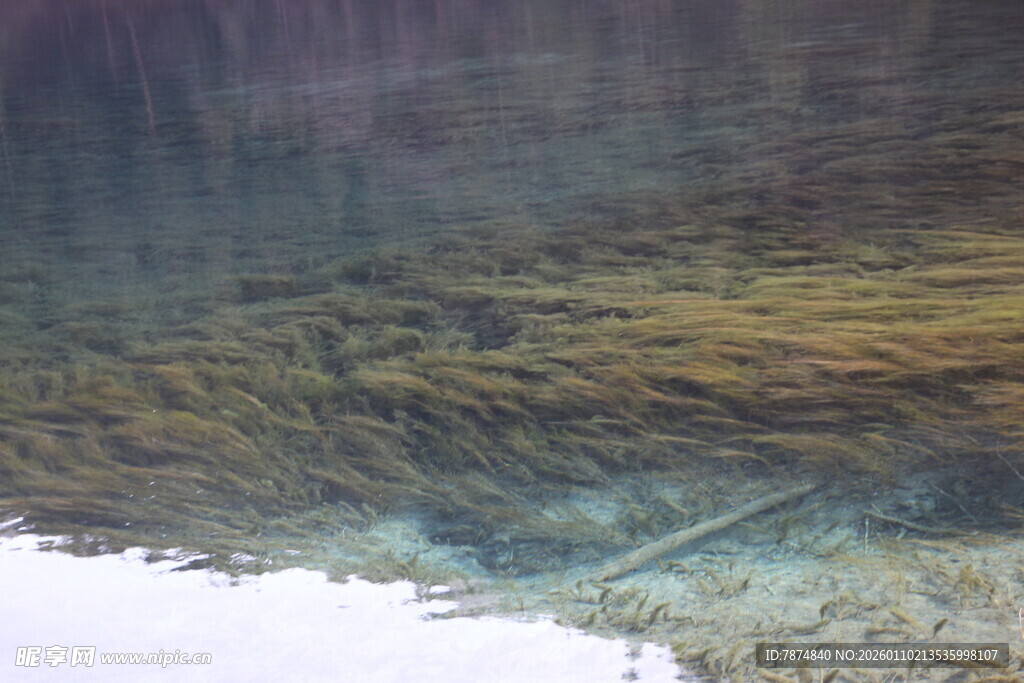 水下景象 隐约可见物体