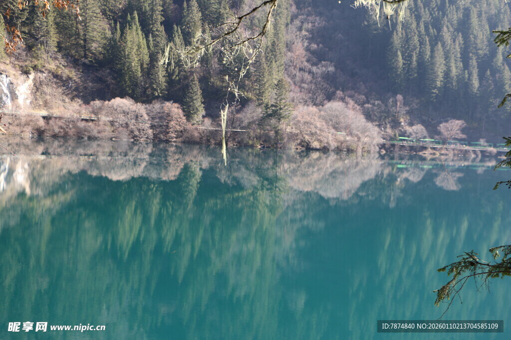 静谧翠湖映山林