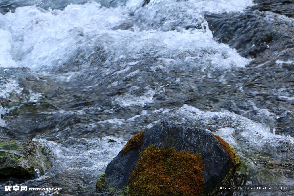 山间溪流中的覆苔石块