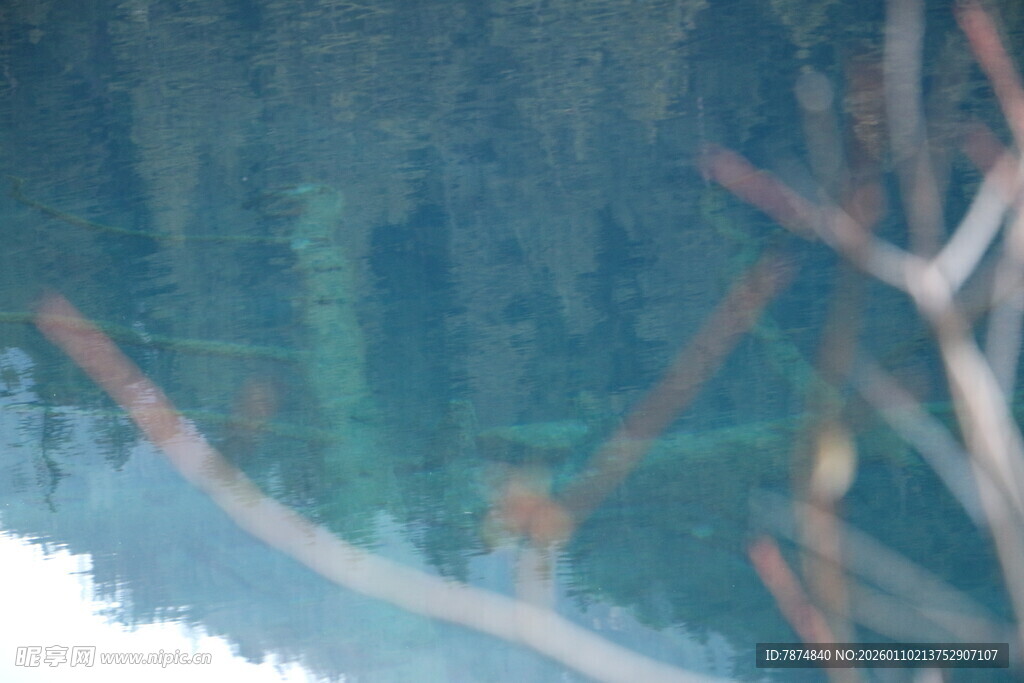 水下模糊景象